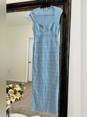 Herve Leger Sheer Bustier Gown